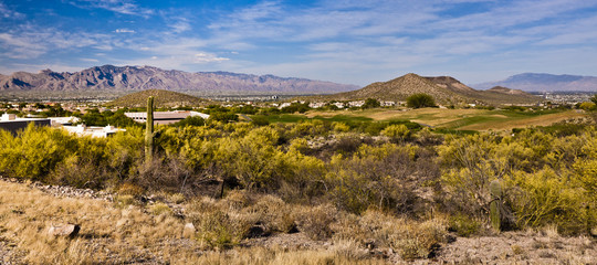 desert landscape in arizona
