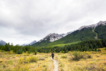 Fototapeta na wymiar girl walking on a hiking trail going to the forest and mountains of alberta canada