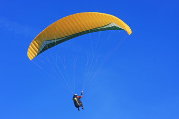 Paraglider