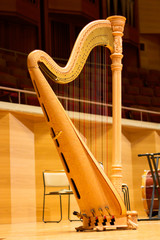Beautiful harp in the concert hall. Harp. Musical instrument
