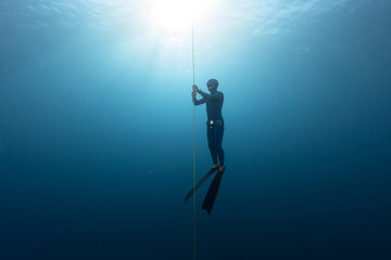 Freediver in the sea - obrazy, fototapety, plakaty