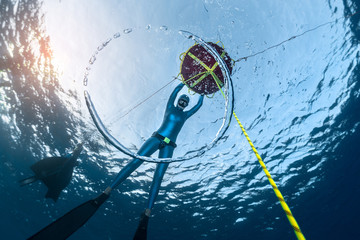 Freedivers in the sea