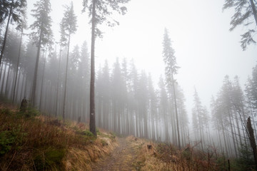 Fototapeta na wymiar Beautiful foggy Beskidy mountains landscape