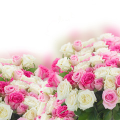 bouquet of fresh roses