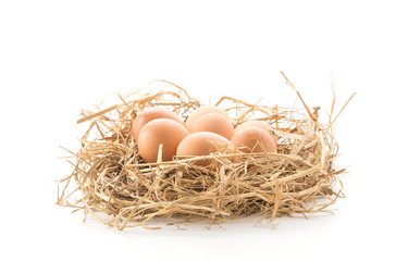 hen eggs