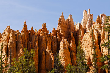 bryce canyon national park landscape