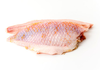 tilapia raw