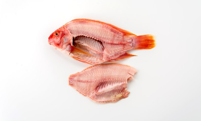 tilapia raw