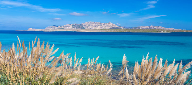 Pelosa Beach, Sardinia, Italy.