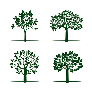 Set of Green Apple Trees. Vector Illustration.