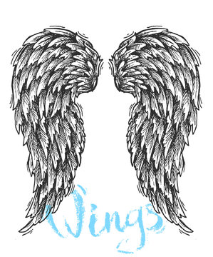 sketch of wings