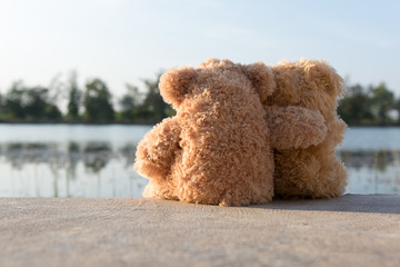 Teddy bear watching the sunset