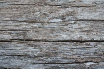 Abstract Texture Of Wood.