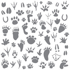 Traces of animals. Vector illustration. Isolated on white background