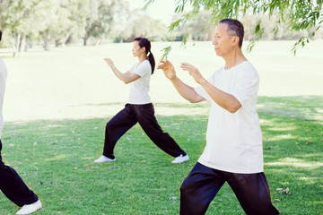 People practicing thai chi in park