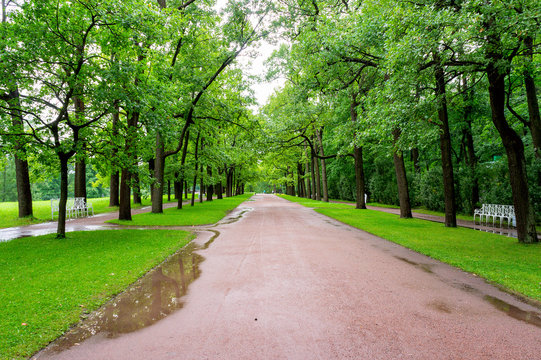 Park in Tsarskoye Selo after rain