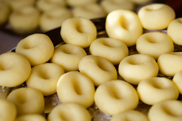 Homemade silesian noodle