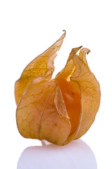 three incaberries  background