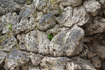 Wall made of natural stones