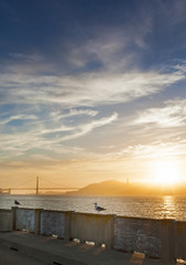 Fototapeta na wymiar Beautiful Tranquil Seagull Sitting on Railing on San-Fransisco Pier