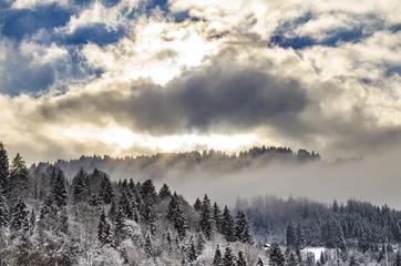 Photo sur Plexiglas Forêt dans le brouillard Forest_Alps_Himmel_Sonne_1