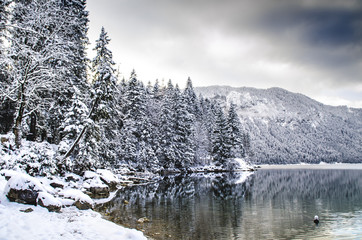 Garmisch_Eibsee_Wald_See_Alpen_Himmel_3