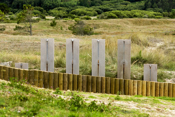 Naklejka premium showers in the dunes near the beach