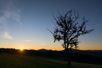 Fototapeta na wymiar Schwarzwald - Sonnenaufgang auf dem Schwarzenbruch