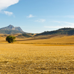 Fototapeta na wymiar Valley in Spain
