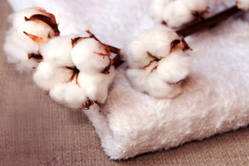 Fototapeta na wymiar cotton flower and towel on cloth background.