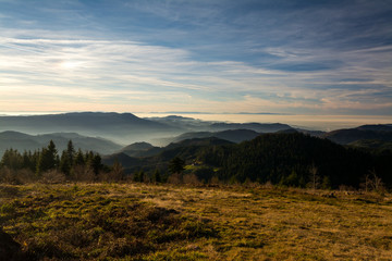 Obraz premium Schwarzwald - Zuflucht