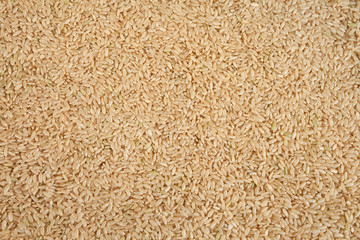 Integral uncooked brown rice texture