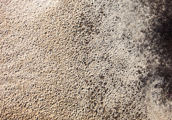 Sand surface after the rain