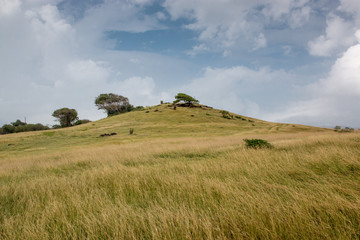 Obraz premium Sainte Lucie : côte est vers grande anse