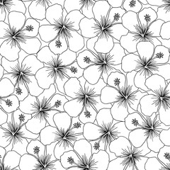 Seamless background pattern with hand drawn hibiscus flowers © Franzi draws