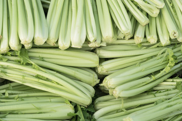 rapini