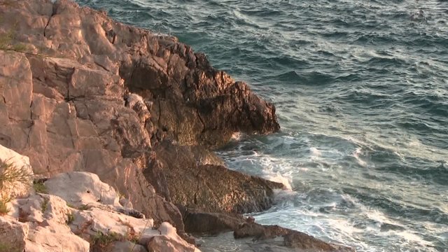 Morze dzika plaża