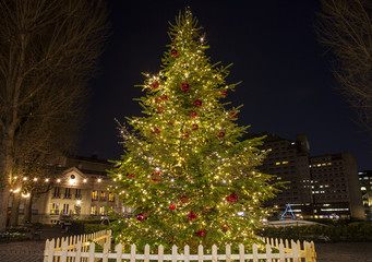 Christmas Tree in London