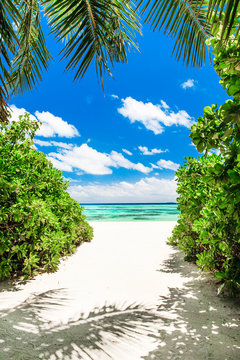 Fototapeta tropikalna plaża na Malediwach