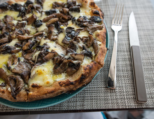 Mushroom pizza