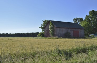 Obraz premium Agriculture storage barn and surrounding farmland on a sunny summer day