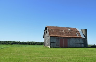 Obraz premium Old vintage barn with a rusted tin roof on a sunny summer day