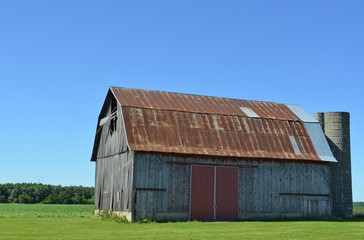 Obraz premium Old vintage barn with a rusted tin roof on a sunny summer day