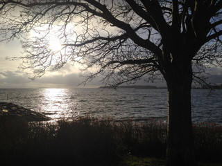 The Baltic Sea
