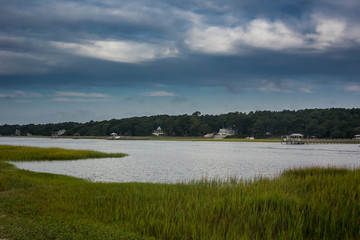 Grasses Along Inlet Marsh