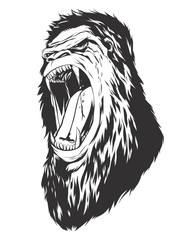 Vector illustration with monkey head