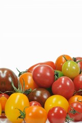 白背景のミニトマト