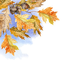 Naklejka na ściany i meble Watercolor illustration with oak leaves