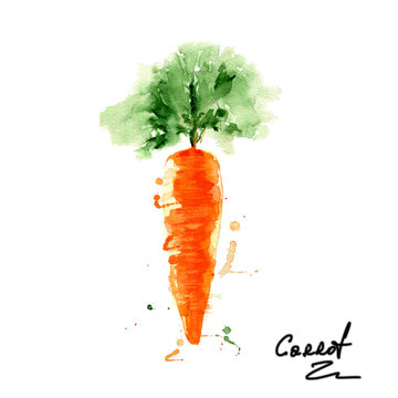 Watercolor orange carrot. Organic vegetable. Kitchen decor.