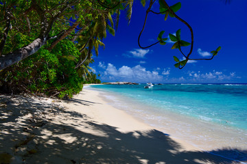 Anse Forbans, Mahe, Seychellen